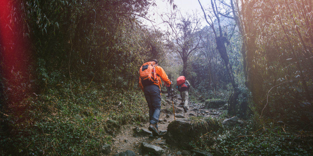 Best Treks in India - Sandakphu Trek (West Bengal)