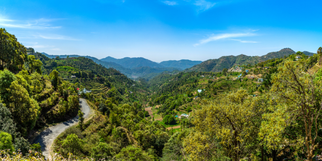 Best Treks in India - Valley of Flowers Trek (Uttarakhand)