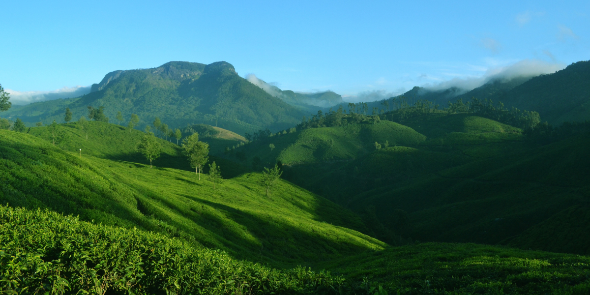 Places to Visit in Kerala - Munnar - Banner